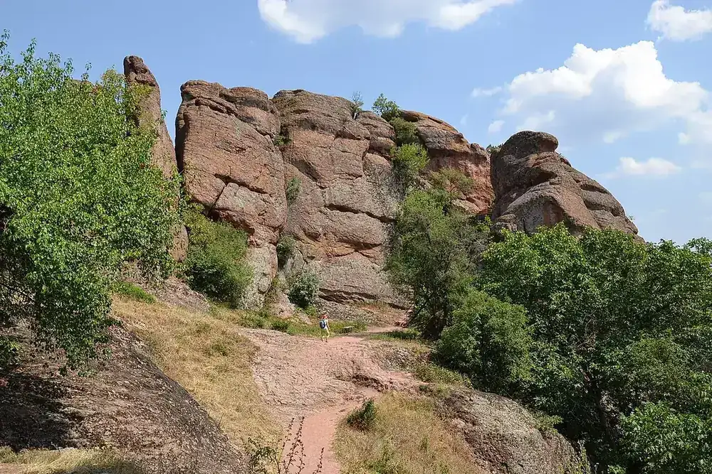 Белоградчишките скали сред гората